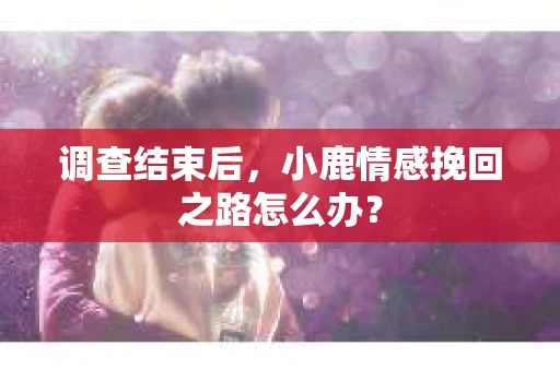 调查结束后，小鹿情感挽回之路怎么办？