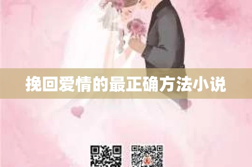 挽回爱情的最正确方法小说