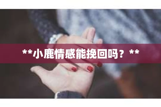 **小鹿情感能挽回吗？**