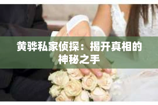 黄骅私家侦探：揭开真相的神秘之手