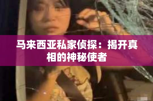 马来西亚私家侦探：揭开真相的神秘使者