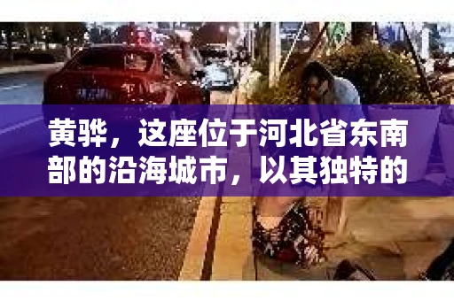 黄骅,这座位于河北省东南部的沿海城市,以其独特的地理位置和丰富的历史文化而闻名。然而,在这座城市中,还有一群人,他们以另一种方式默默守护着社会的公平与正义——私家侦探。今天,我们就来聊聊黄骅的私家侦探,看看他们是如何在这个城市中发挥作用的。 黄骅,这座位于河北省东南部的沿海城市,以其独特的地理位置和丰富的历史文化而闻名。然而,在这座城市中,还有一群人,他们以另一种方式默默守护着社会的公平与正义——私家侦探。今天,我们就来聊聊黄骅的私家侦探,看看他们是如何在这个城市中发挥作用的。