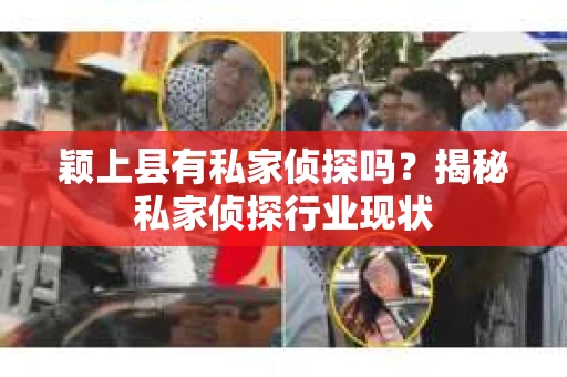 颖上县有私家侦探吗？揭秘私家侦探行业现状