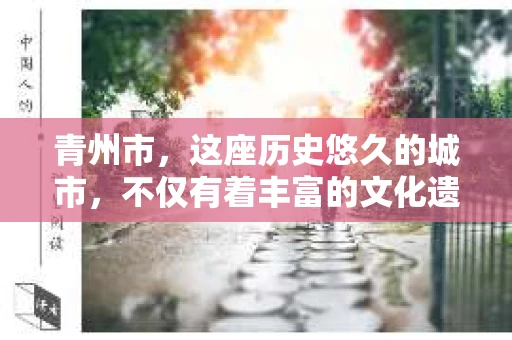 青州市，这座历史悠久的城市，不仅有着丰富的文化遗产，也有着现代生活的便捷。那么，问题来了——青州市有私家侦探公司吗？这个问题，对于需要侦探服务的人来说，无疑至关重要。接下来，我就来为大家揭开这个谜底。