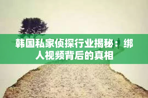 韩国私家侦探行业揭秘：绑人视频背后的真相