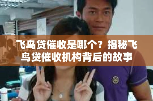 飞鸟贷催收是哪个?揭秘飞鸟贷催收机构背后的故事 飞鸟贷催收是哪个?揭秘飞鸟贷催收机构背后的故事