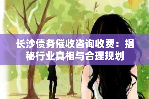 长沙债务催收咨询收费：揭秘行业真相与合理规划