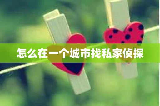 怎么在一个城市找私家侦探