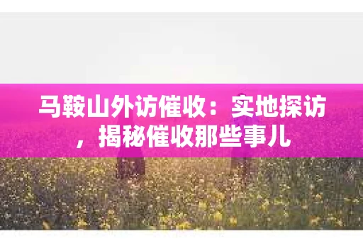 马鞍山外访催收：实地探访，揭秘催收那些事儿