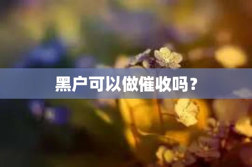 黑户可以做催收吗？
