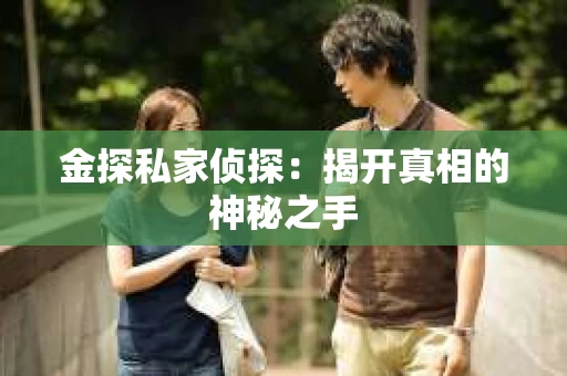 金探私家侦探：揭开真相的神秘之手