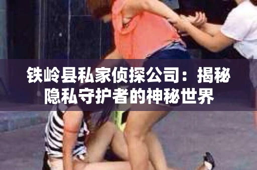 铁岭县私家侦探公司：揭秘隐私守护者的神秘世界