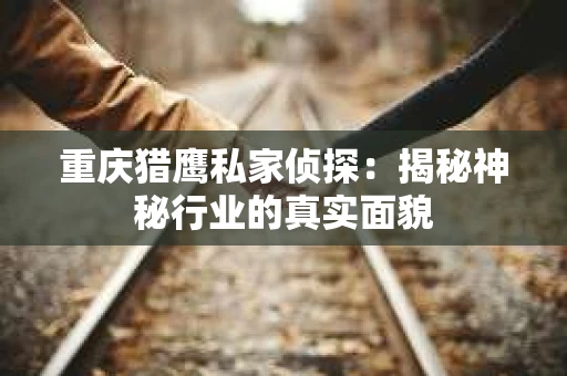 重庆猎鹰私家侦探：揭秘神秘行业的真实面貌