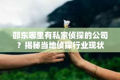 邵东哪里有私家侦探的公司？揭秘当地侦探行业现状