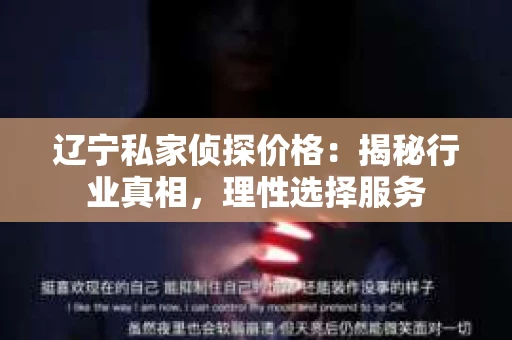 辽宁私家侦探价格：揭秘行业真相，理性选择服务