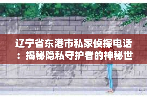 辽宁省东港市私家侦探电话：揭秘隐私守护者的神秘世界