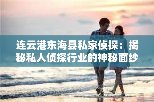 连云港东海县私家侦探：揭秘私人侦探行业的神秘面纱