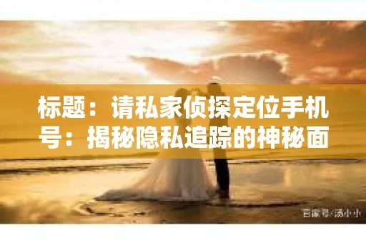 标题：请私家侦探定位手机号：揭秘隐私追踪的神秘面纱