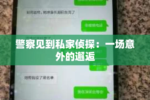 警察见到私家侦探：一场意外的邂逅