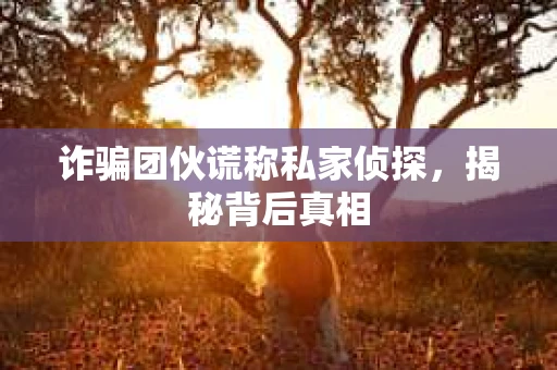 诈骗团伙谎称私家侦探，揭秘背后真相