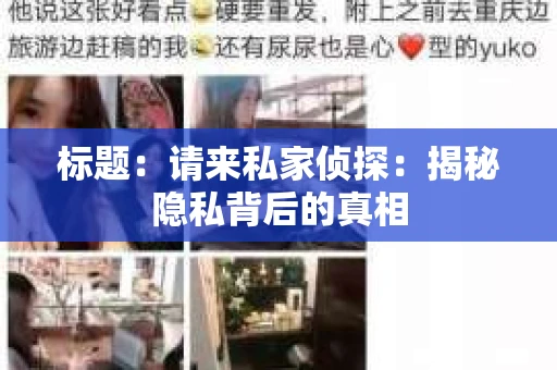 标题：请来私家侦探：揭秘隐私背后的真相