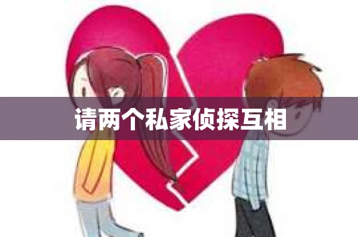 请两个私家侦探互相