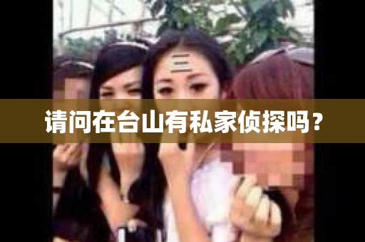 请问在台山有私家侦探吗？