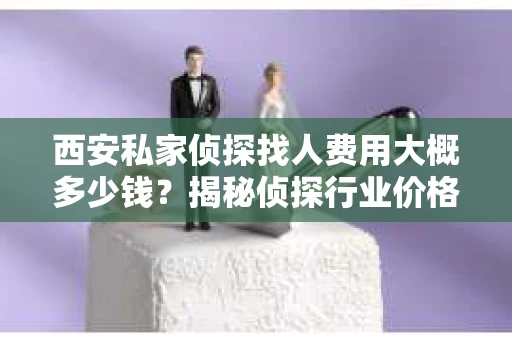 西安私家侦探找人费用大概多少钱？揭秘侦探行业价格之谜