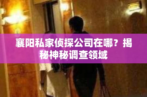 襄阳私家侦探公司在哪？揭秘神秘调查领域