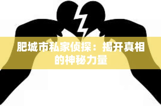 肥城市私家侦探：揭开真相的神秘力量