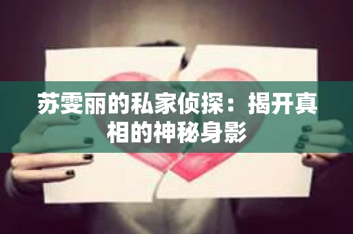 苏雯丽的私家侦探：揭开真相的神秘身影