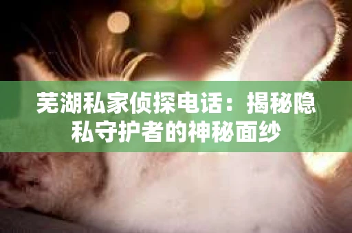 芜湖私家侦探电话：揭秘隐私守护者的神秘面纱