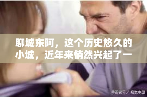 聊城东阿，这个历史悠久的小城，近年来悄然兴起了一股新的服务潮流——私家侦探。今天，我们就来聊聊这个话题，看看在聊城东阿，私家侦探是如何成为人们生活中的一部分的。