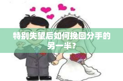 特别失望后如何挽回分手的另一半? 特别失望后如何挽回分手的另一半?