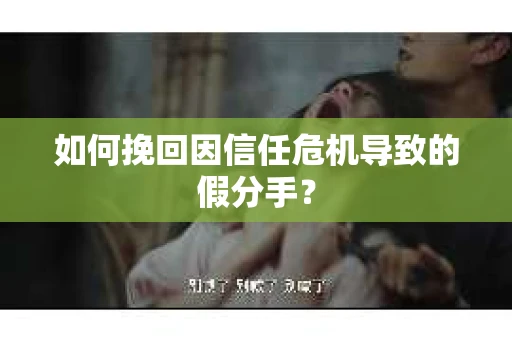如何挽回因信任危机导致的假分手？