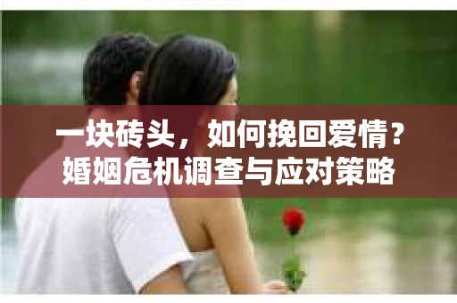 一块砖头，如何挽回爱情？婚姻危机调查与应对策略