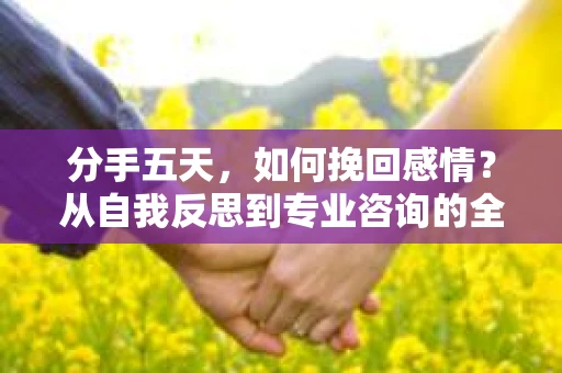 分手五天，如何挽回感情？从自我反思到专业咨询的全面解决方案