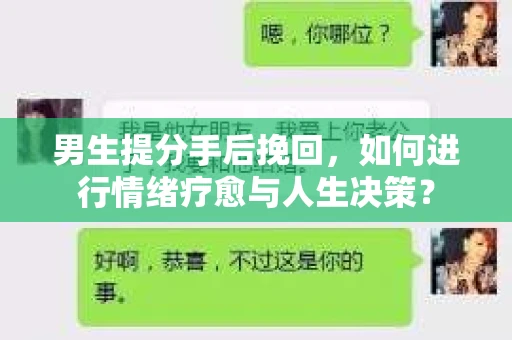 男生提分手后挽回，如何进行情绪疗愈与人生决策？