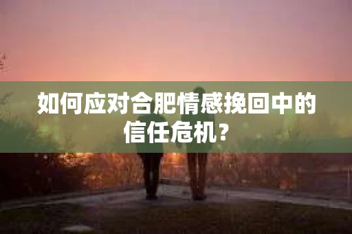 如何应对合肥情感挽回中的信任危机？