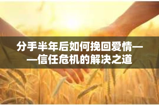 分手半年后如何挽回爱情——信任危机的解决之道